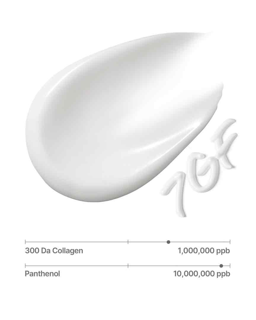 SUNGBOON EDITOR Deep Collagen 7GF Ceramide Advanced Barrier Night Cream