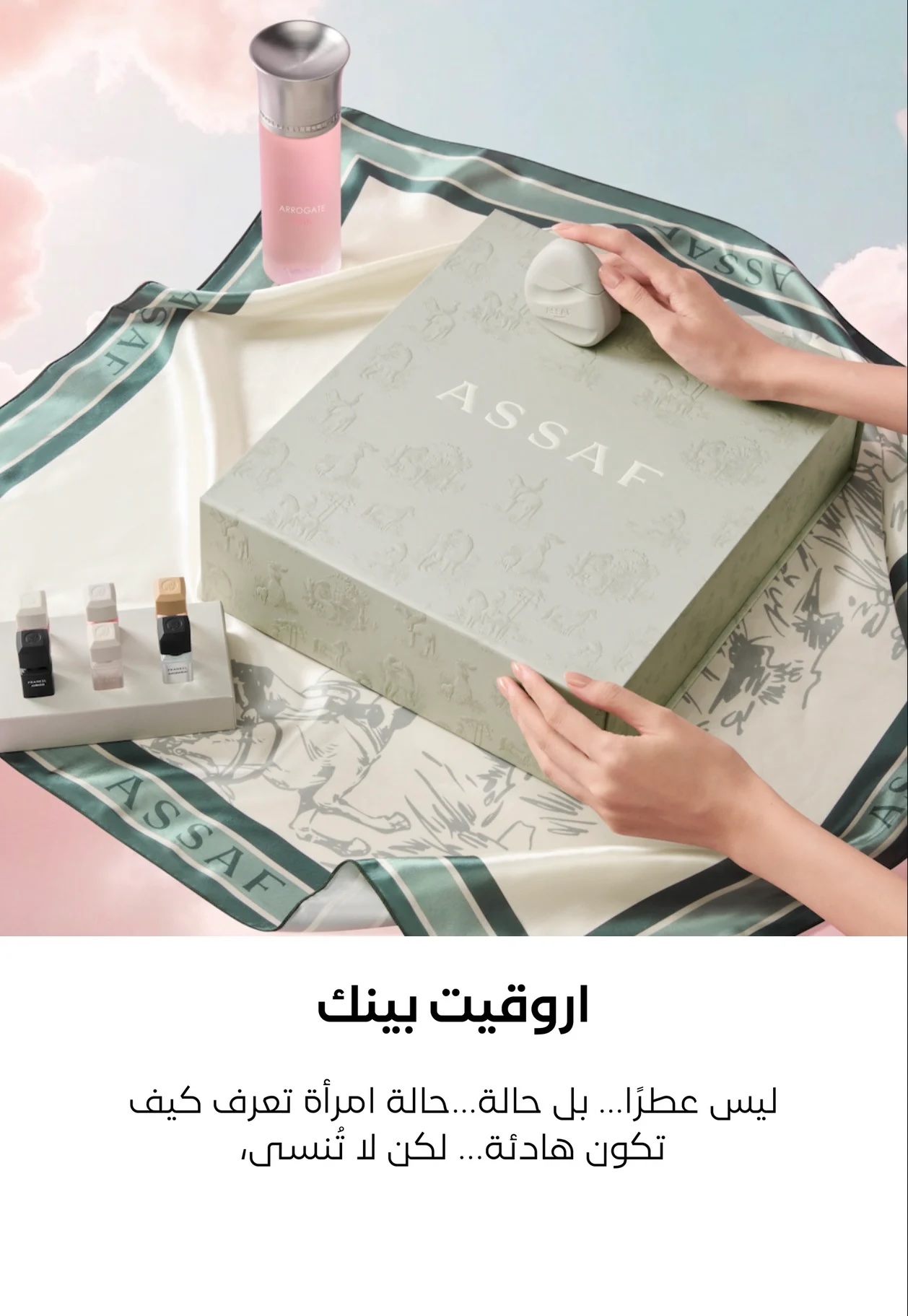 Assaf Pink Arrogate Collection Box